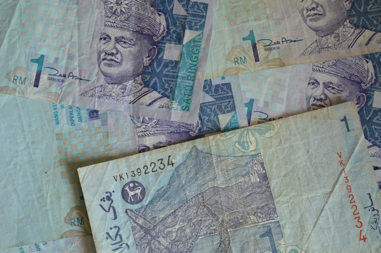 Ringgit notes